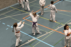 23-01-21-09-00-36-8498